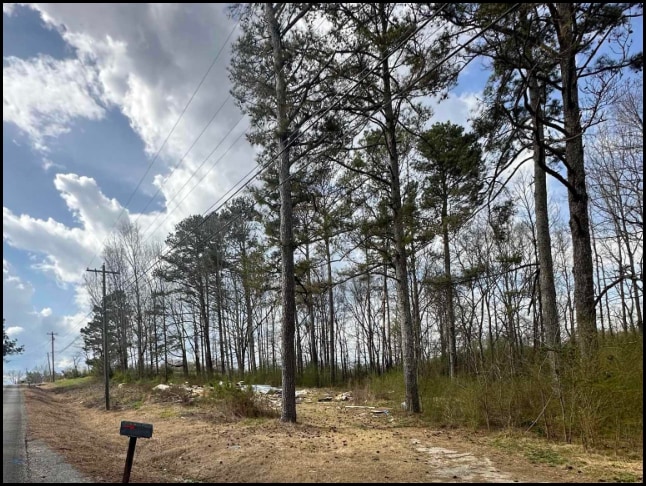 Land for sale in Moulton, Alabama through Apex Real Estate