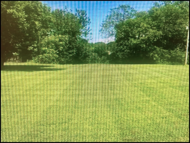Land for sale in Moulton, Alabama through Apex Real Estate