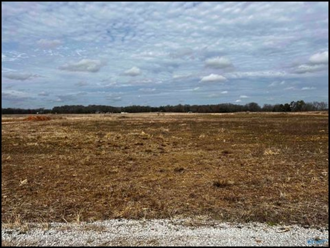 Lot for sale in Town Creek, Alabama through Apex Real Estate.