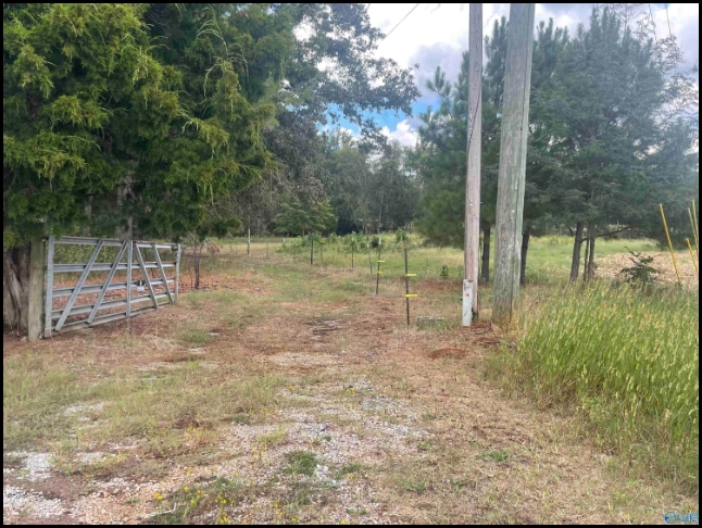 Land for sale in Moulton, Alabama through Apex Real Estate