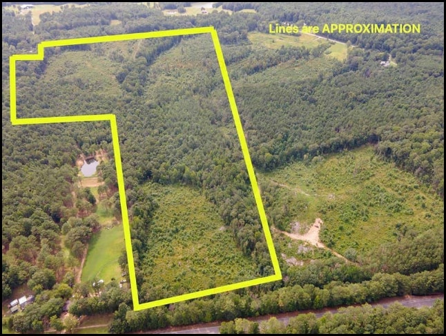 Lot for sale in Lynn, Alabama through Apex Real Estate.